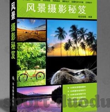 德国足球世界杯战绩-德国足球世界杯战绩，荣耀与挑战的交响曲