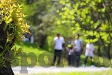 摩洛哥世界杯首发整容-摩洛哥世界杯首发阵容,铁血防守与快速反击的完美结合